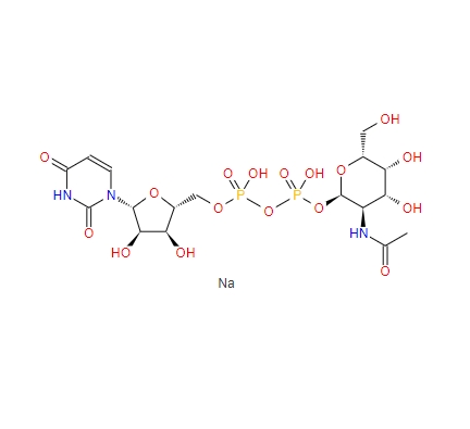 尿嘧啶核苷-5′-二磷酸-N-乙酰氨基半乳糖二钠盐10832