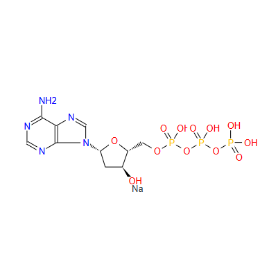 2'-脱氧腺苷-5'-三磷酸三钠盐(DATP.NA3)CAS: 54680-12-5